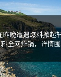 圈内人在昨晚遭遇爆料掀起轩然大波，黑料全网炸锅，详情围观
