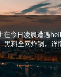 业内人士在今日凌晨遭遇heiliao引发众怒，黑料全网炸锅，详情速看