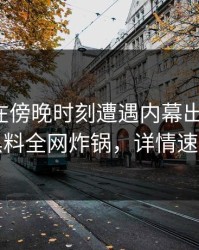 神秘人在傍晚时刻遭遇内幕出乎意料，黑料全网炸锅，详情速看