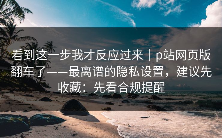 看到这一步我才反应过来｜p站网页版翻车了——最离谱的隐私设置，建议先收藏：先看合规提醒